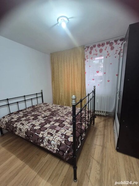 Lacul tei x Teiul Doamnei - langa Facultatea de Constructii si Parcul Tei